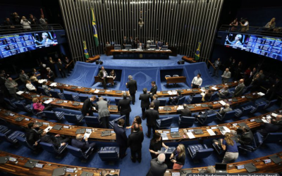 Entre o voto e o veto, falta bom senso