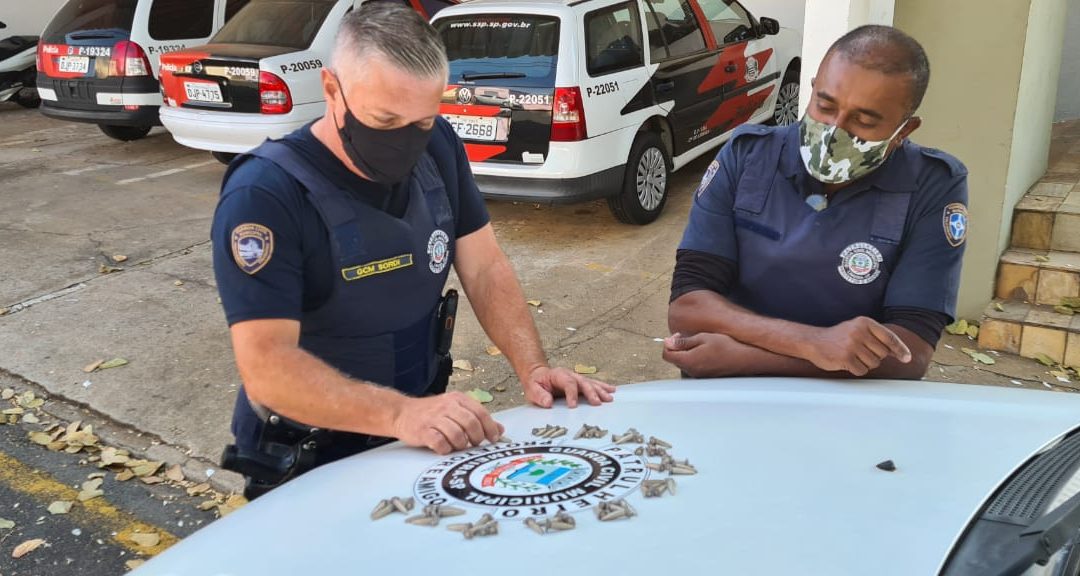 apreensão pinos de cocaína (2)