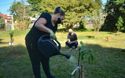 População poderá contribuir no plantio e conservação de árvores e flores em áreas públicas