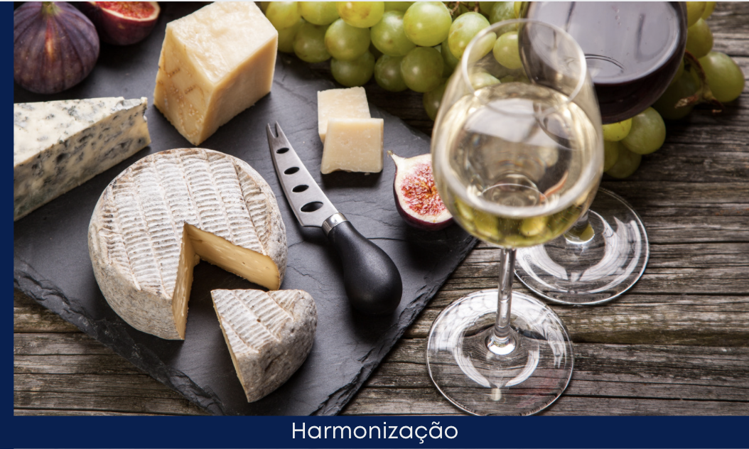 Já assistiram o filme Ratatouille?