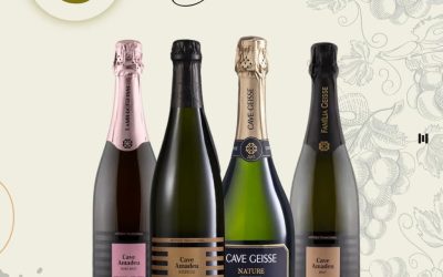 Vinhos Nacionais estão cada vez mais ganhando admiradores.