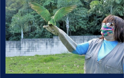 Zoo devolve 15 aves para a natureza