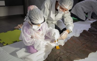 Crianças visitam reserva técnica do museu em programação especial