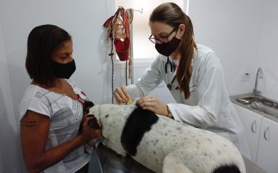 Castramóvel chega ao Nossa Senhora das Dores