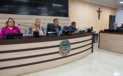 CPI da Câmara constata a existência de 53 imóveis irregulares em um único condomínio