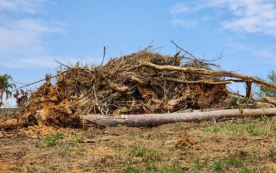 Pelotão Ambiental flagra crime ambiental em área no Bairro dos Pires