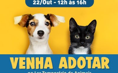 Evento de adoção de animais será realizado no sábado