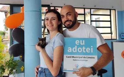 Evento de adoção de animais recebe 83 pessoas
