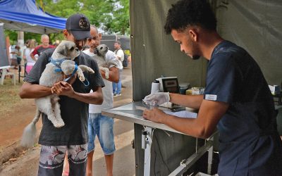 Jardim Ipanema recebe programa Castra + Limeira nos dias 14 e 15