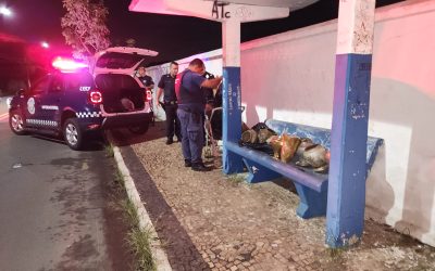 GCM recupera vasos de bronze furtados de cemitério