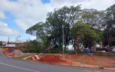Remoção de galhos interdita parcialmente rotatória na Av. Maria Buzolin