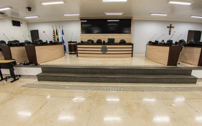 Primeira sessão ordinária do ano vai definir lideranças e comissões