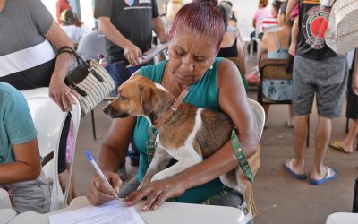 Mais de 300 castrações gratuitas são realizadas no final de semana