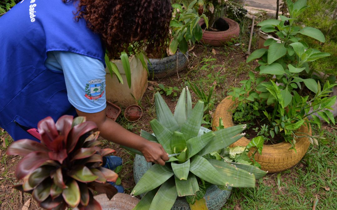Em mutirão na região do Jd. Guimarães, agentes identificam 145 criadouros