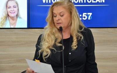 Câmara aprova criação de dispositivo de alerta de segurança para escolas