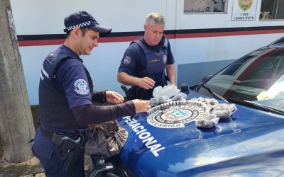 “Supermaconha” é localizada em área verde no Odécio Degan