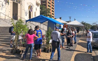 Doação de mudas frutíferas faz sucesso entre a população