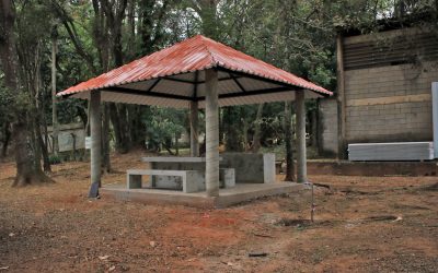 Avança construção de quiosques no Horto Florestal