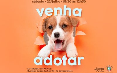 Prefeitura promove evento de adoção de animais