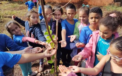 Feira de Ciências da Emeief Luca Moore mostra trabalhos voltados à sustentabilidade