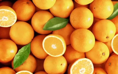 Raimundos, Us Agroboys e atração internacional são destaques da Festa da Laranja de Limeira