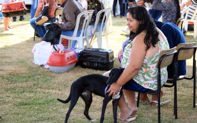 Região do Santa Eulália recebe mutirão de castração gratuita neste sábado