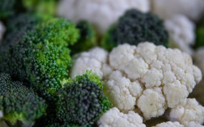 Chamada Pública prevê compra de alimentos da agricultura familiar