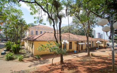Cinema gratuito no Museu é destaque da semana; confira a programação