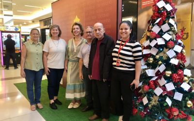 Árvore dos sonhos realiza desejos de 120 idosos em parceria do Limeira Shopping com o Fundo Social