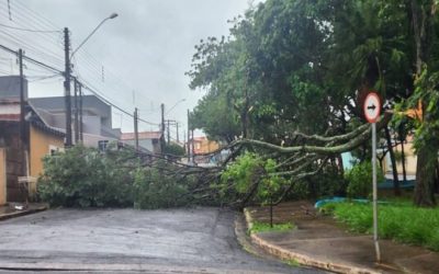 Ventos de até 90 km e chuvas provocam danos em Limeira
