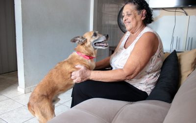 Animal que passou a vida toda no abrigo ganha um lar