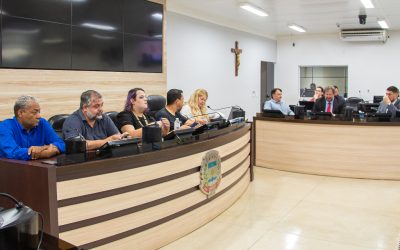 CPI sobre qualidade dos serviços de energia agenda oitiva com especialista em arborização urbana