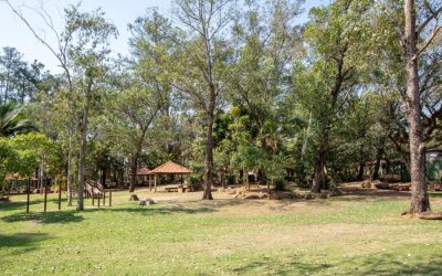 Convênio é assinado e Estado libera R$ 571 mil  para quarta etapa das obras no Horto Florestal
