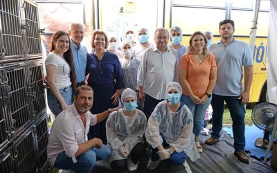 Programa de castração completa 1 ano com 5.650 cirurgias de cães e gatos