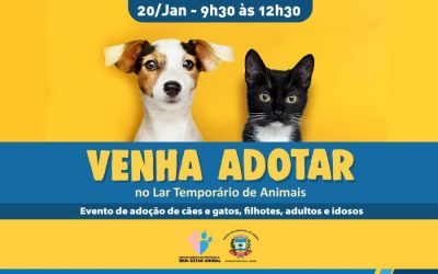 Evento de adoção de animais acontece no próximo sábado em Limeira