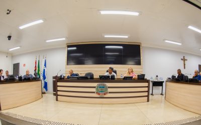 Comissão de Obras pede esclarecimentos sobre execução de limpeza urbana e capinação