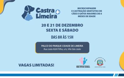 Último mutirão de castração gratuita do ano será no Parque Cidade