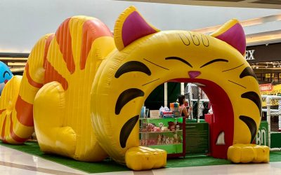 “Cats Park” traz diversão com piscina gigante de bolinhas em Limeira