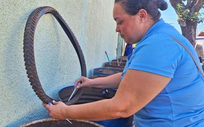 Dia D de combate à dengue visita 2.793 imóveis em Limeira