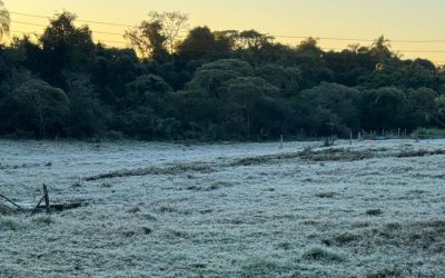 Com geada e temperatura abaixo de zero, Limeira reforça abordagem a pessoas em situação de rua