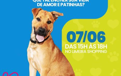 Dia de “Adocão” tem nova edição no Limeira Shopping