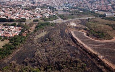 Defesa Civil alerta para risco de queimadas em Limeira; saiba quais são os cuidados