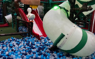 Sítio Kids traz realidade rural às crianças com entretenimento em Limeira