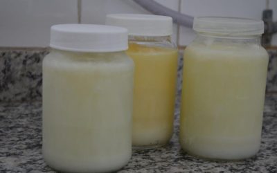 Agosto Dourado reforça importância da doação de leite materno em Limeira; saiba como ajudar