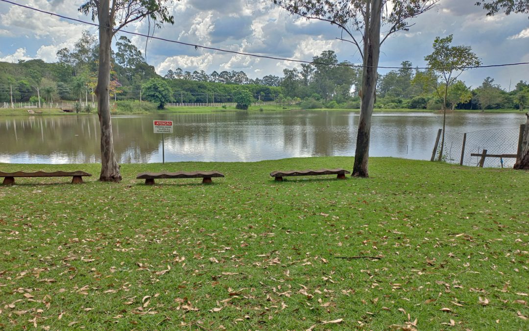 Aniversário de Limeira terá programação especial para as crianças no Horto Florestal