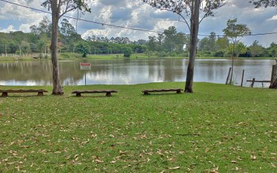 Aniversário de Limeira terá programação especial para as crianças no Horto Florestal