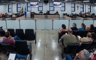 Em audiência pública na Câmara, secretário fala sobre planejamento para zerar a fila da creche