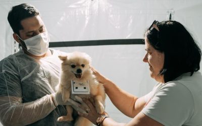 Bosque Prefeita Maria Thereza terá Castra + Limeira nos dias 18 e 19 de outubro