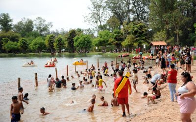 Mais de 15 mil pessoas participam da Festa das Crianças no Horto Florestal