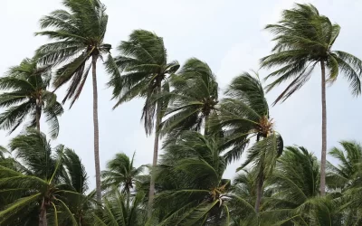 Ventos provocam danos na Costa Verde e na região serrana do RJ